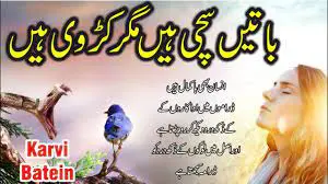 Batein suchi hian megar karvi hain (best urdu quotes)
