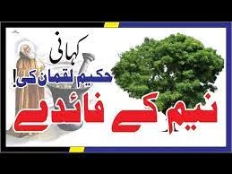 Neem ky faidy story of Hakeem Luqman in urdu