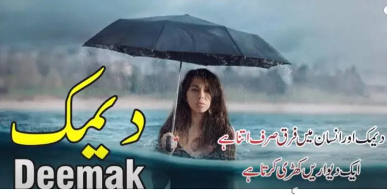 Deemak top 10 best urdu quotes with images