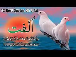 ulfat-best urdu quotes and urdu love poetry