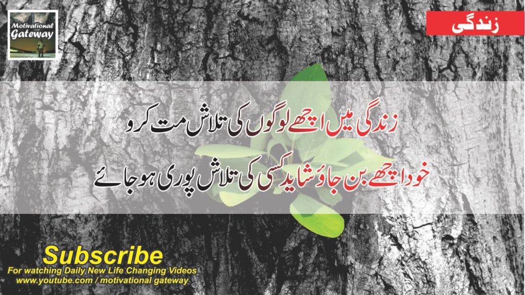 29 best quotes about life in urdu 11