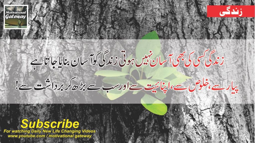 29 best quotes about life in urdu 14