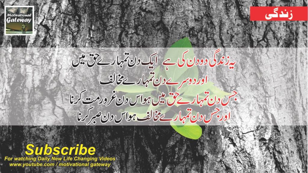 29 best quotes about life in urdu 17