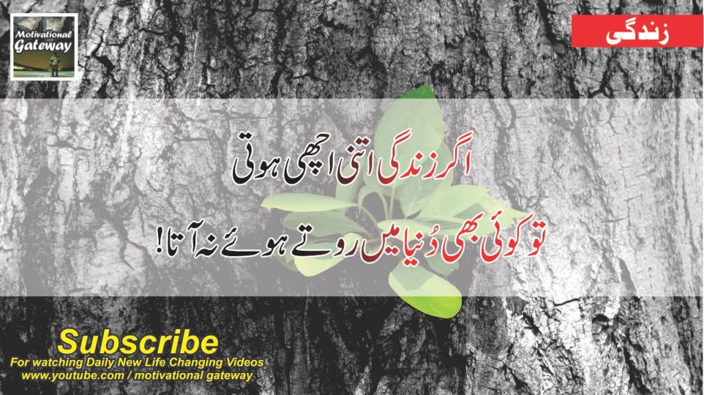 29 best quotes about life in urdu 2