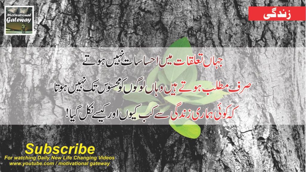 29 best quotes about life in urdu 21