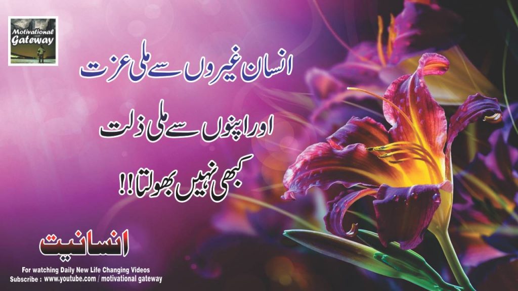 insaniyat 21 life changing quotes in urdu 13