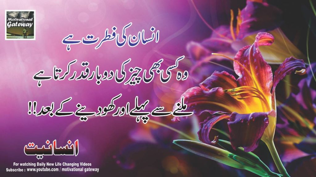 insaniyat 21 life changing quotes in urdu 18