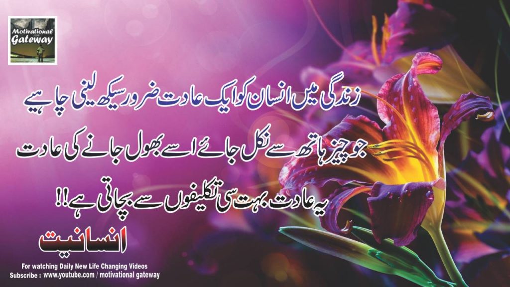 insaniyat 21 life changing quotes in urdu 3