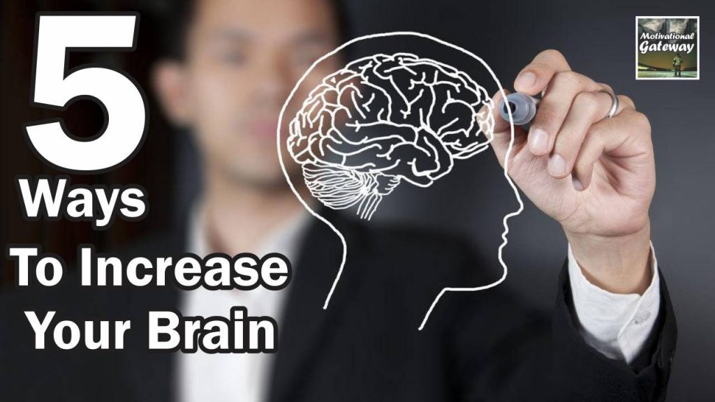 5 Ways To Increase Your Brain