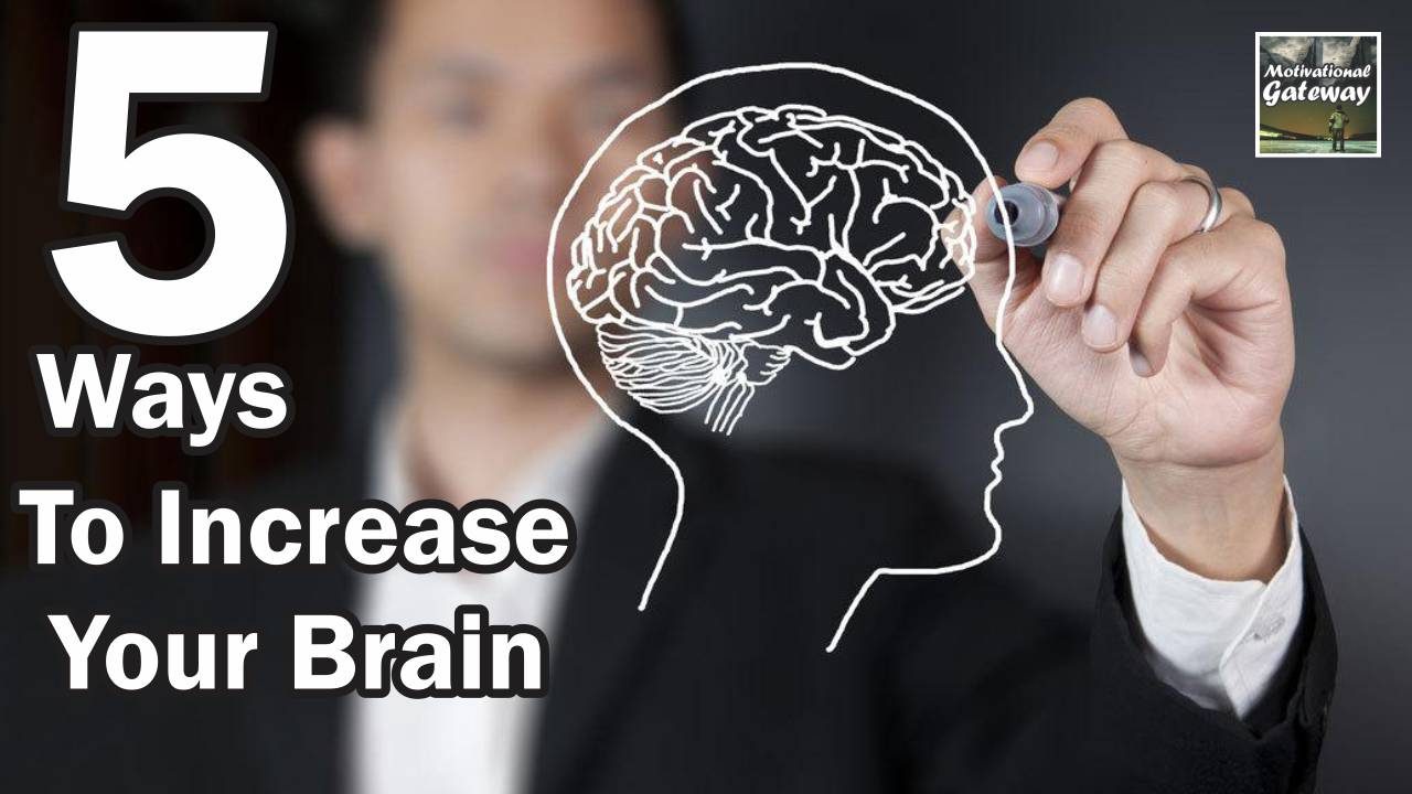 cropped 5 Ways To Increase Your Brain
