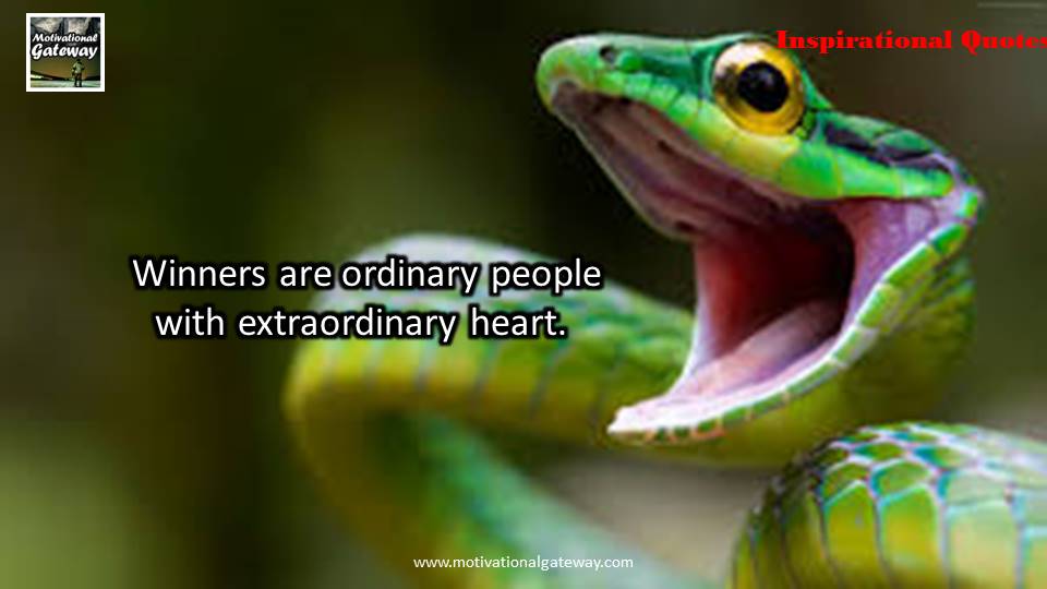 50 life changing Inspirational quotes!! Slide107