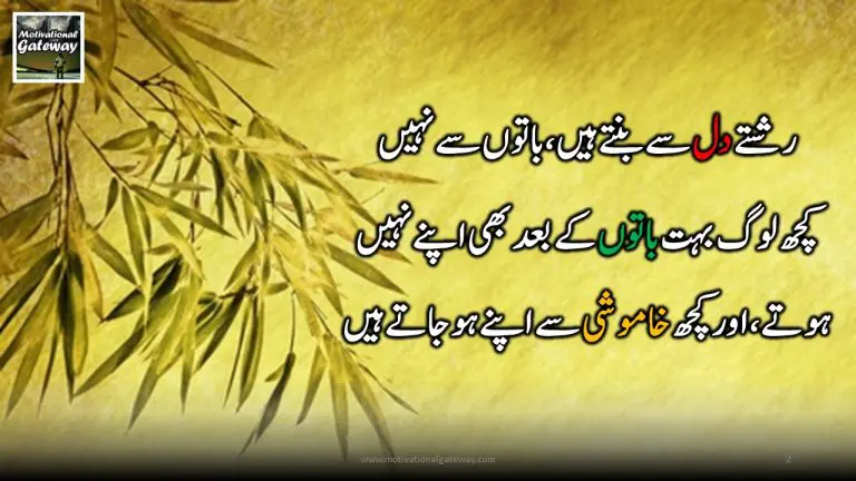 Motivational quotes in urdu !
