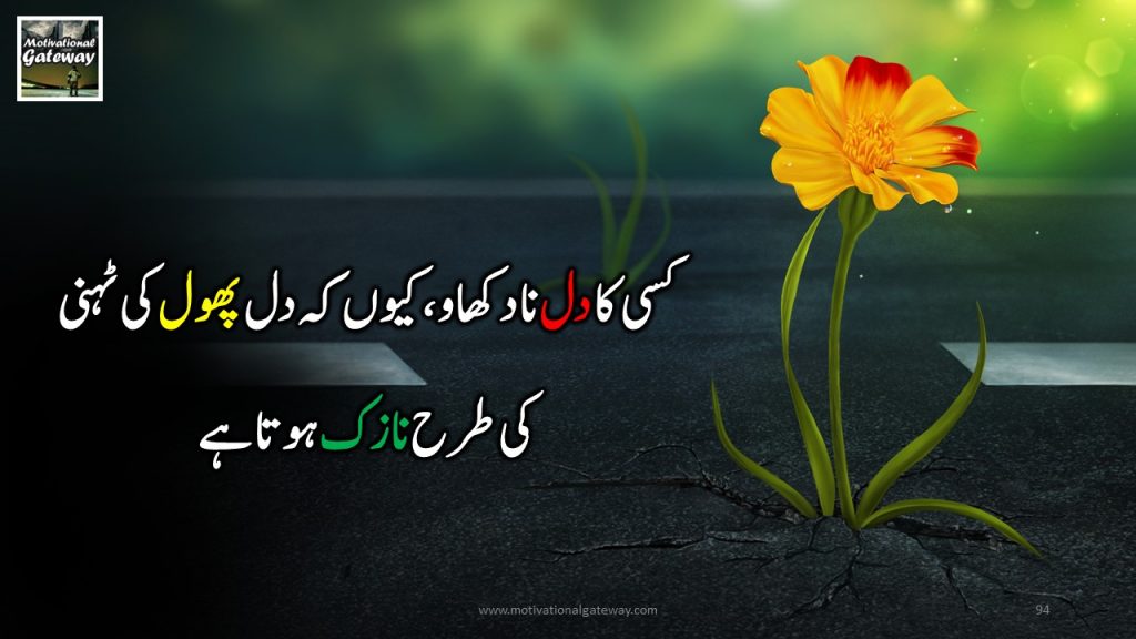 20 Heart touching quotes in urdu!! dil aur phoul