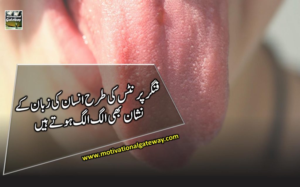 finger prints ki terhan insaan ki zabaan ke
nishaan bhi allag allag hotay hain 