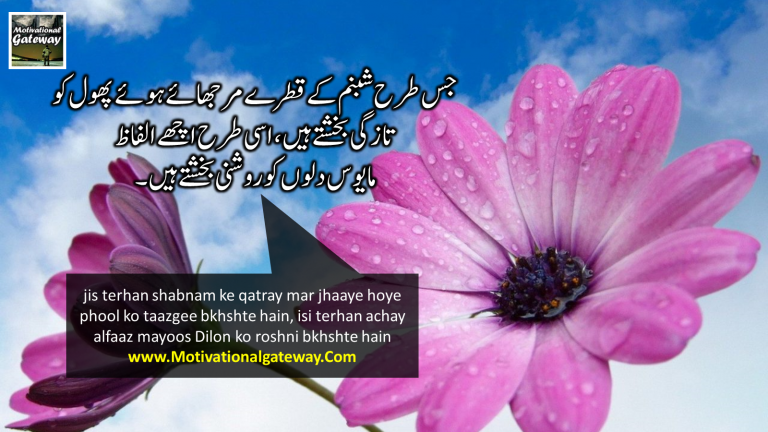 Life changing quotes in Urdu