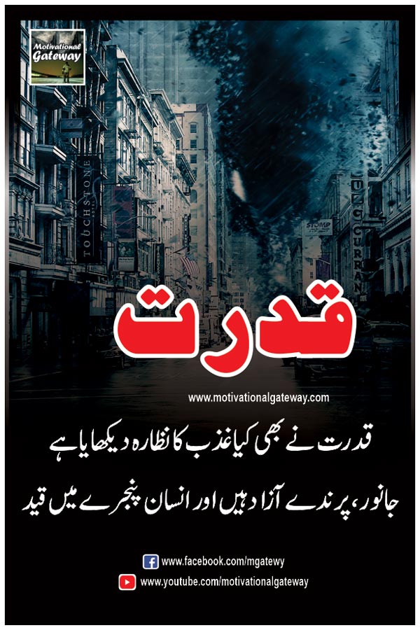 qudrat ne bhi kia gazab ka nizara dekhaya hai
janwar, parinday azad hain aur insaan pinjare mein qaid,
nature picture, qudrat,urdu quotes,urdu poetry,insan,motivational quotes,hindi quotes,