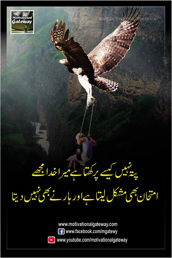 cute babay,
urdu quotes,
motivational quotes,
urdu poetry,
urdu aqwal
my god
jeet
haar
