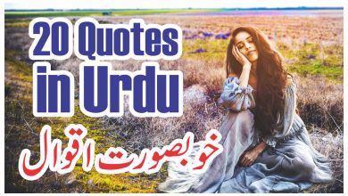 20 best urdu quotes about life