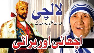 mother teresa and amir timur hisotry