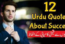 Beautiful Quotes In Urdu, best quotes in urdu, 12 Urdu Quotes About Success,