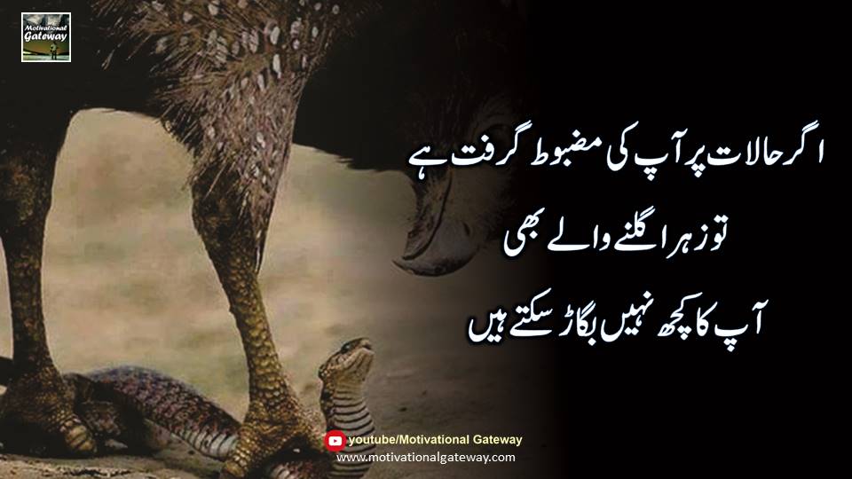 Modern urdu quotes