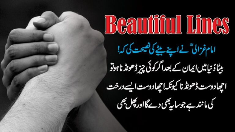 Beautiful lines in urdu