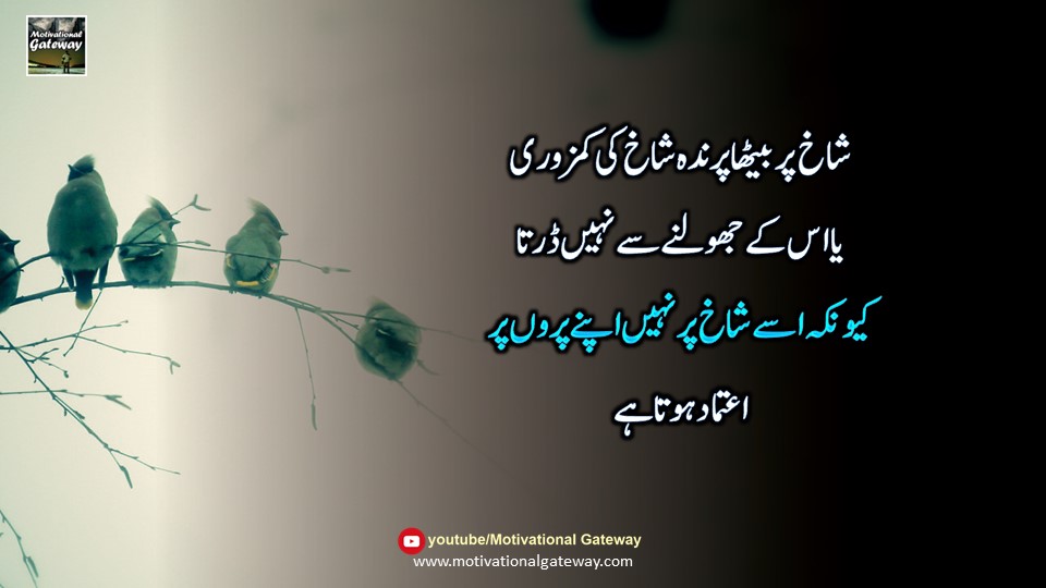 Beautiful lines in urdu