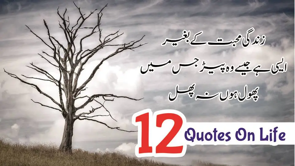 Amazing Life Quotes Amazing Life Quotes