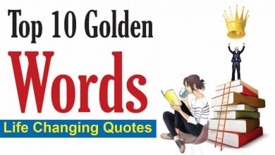 Top Ten Golden Word Collection