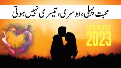 Love Quotes