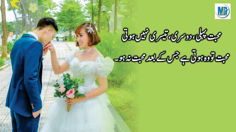 Urdu Quotes About Love 