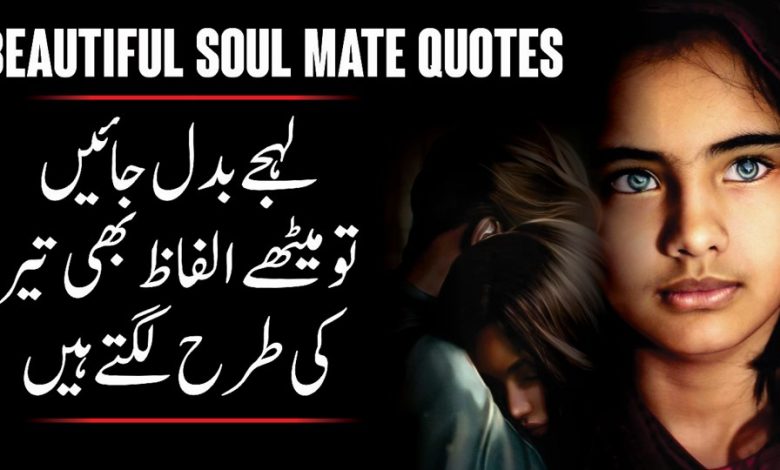Beautiful Soul Mate Quotes Collections