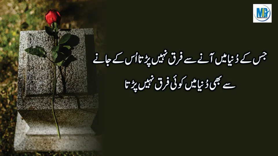 Sad Life Quotes