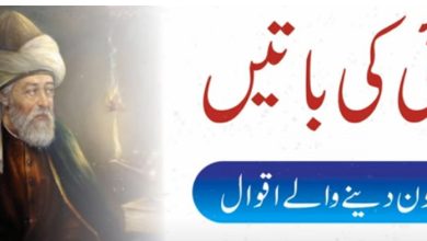 Urdu Quotes Danai Ki Batein (Dil Ko Sakoon Dayne Wali Batein )