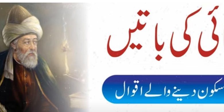 Urdu Quotes Danai Ki Batein (Dil Ko Sakoon Dayne Wali Batein )