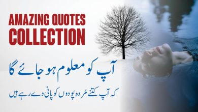 Amazing Quotes Collection Quotes of the Day in Urdu (Dil Mein Bus Jane Wali Batein)