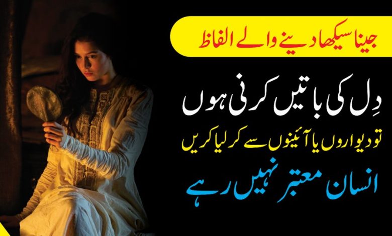Jeena Seekha Dayne Waly Life Quotes ( Quotes About Life in Urdu )