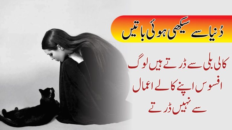 Dunia Se Seekhi Hue Batein  Urdu Quotations ( Quotes About Life )