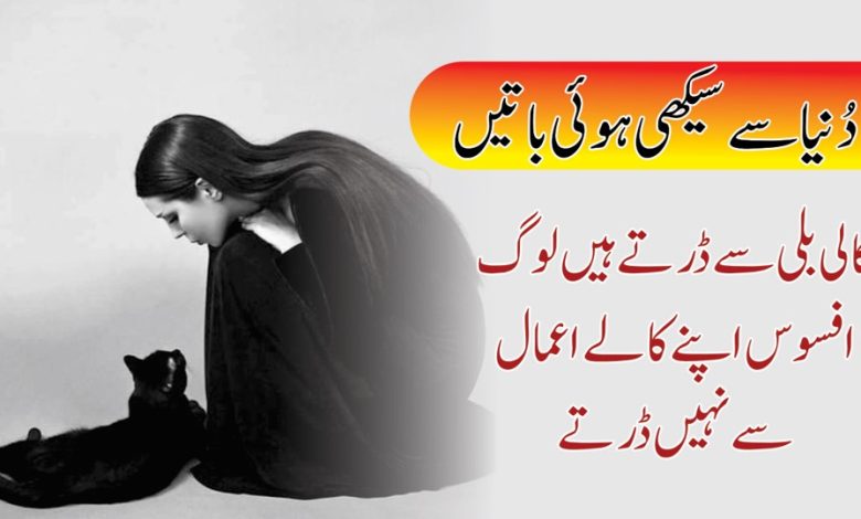 Dunia Se Seekhi Hue Batein Urdu Quotations ( Quotes About Life )