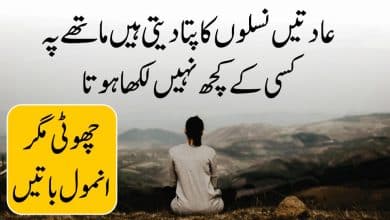 Choti Magar Anmol Batein (New Life Quotes in Urdu Hindi)