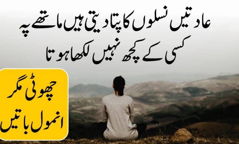 Choti Magar Anmol Batein (New Life Quotes in Urdu Hindi)