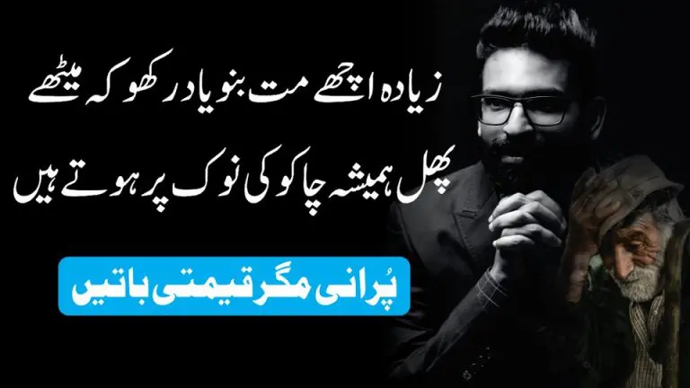 Purani Magar Qeemti Batein Famous Quotes About Life 