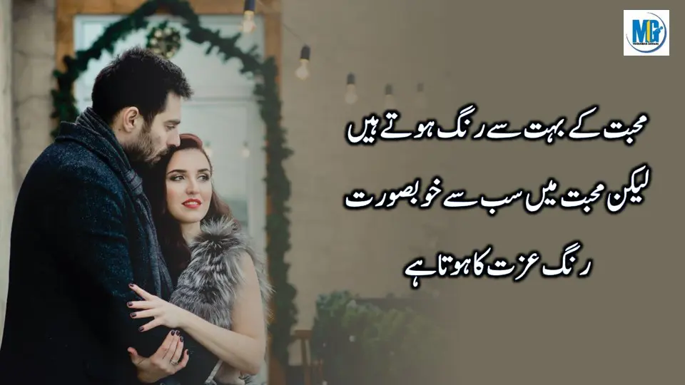 Jeena Seekha Dayne Waly Life Quotes ( Quotes About Life in Urdu ) True Love Quotes