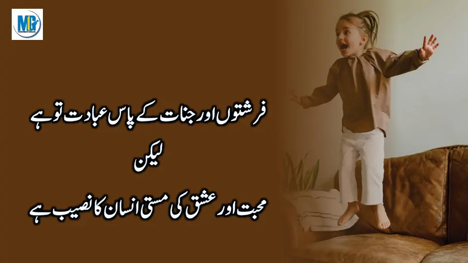 Urdu Quotes Danai Ki Batein (Dil Ko Sakoon Dayne Wali Batein ) Inspiring Quotes