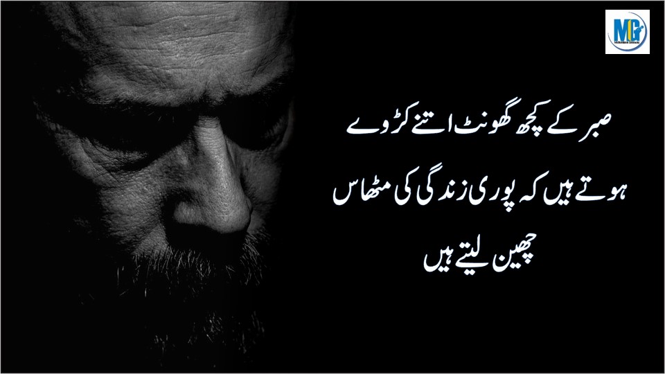 Urdu Inspiring Quotes 