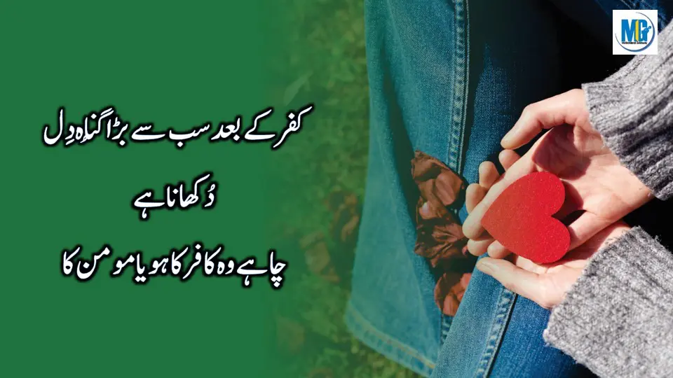 Urdu Quotes Danai Ki Batein (Dil Ko Sakoon Dayne Wali Batein ) Heart Touching Quotes