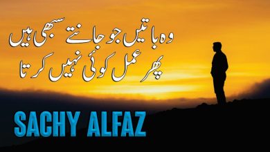 Sachy Alfaz Life Changing Quotes - Inspirational Quotes - Amazing Quotes - Aqwal e Zareen - Motivational Gateway