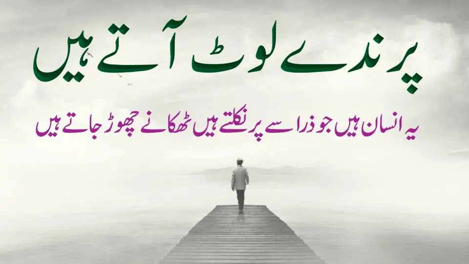 Duniaa Waloo Ki Anokhii Batein -Best Urdu Life Quotes Collection - Urdu Aqwal e Zareen - New Urdu Quotes About Life - Motivational Gateway