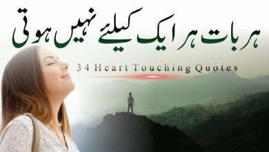 34 Heart Touching Lines in Urdu Hindi - Love Quotes - Famous Quotes - Motivational Quotes-Motivational Gateway