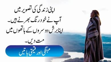 Mehnagi Aor Qeemti Batein In Urdu (Urdu quotes New Lines)